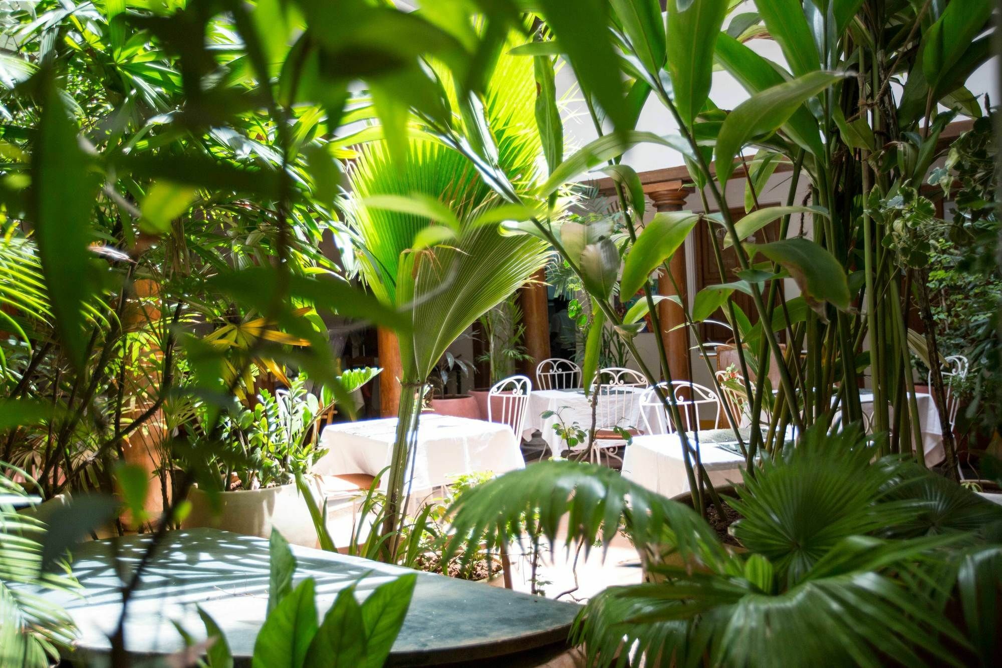 Maison Perumal Pondicherry - A Cgh Earth Experience Ngoại thất bức ảnh